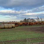 Schoen Moeblierte In Genthin/ Ot Tucheim