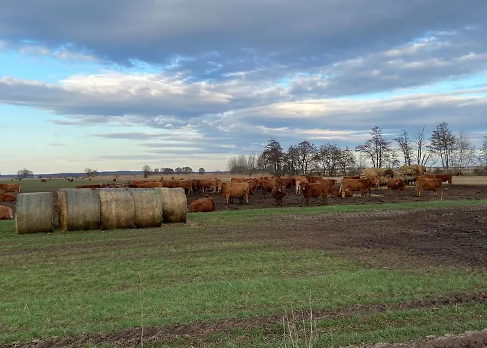 Schoen Moeblierte In Genthin/ Ot Tucheim