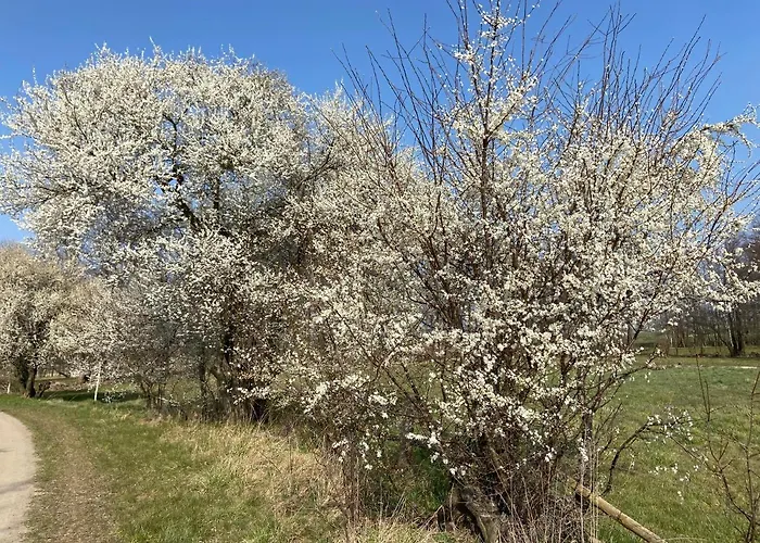 Schoen Moeblierte In Genthin/ Ot Διαμέρισμα Tucheim